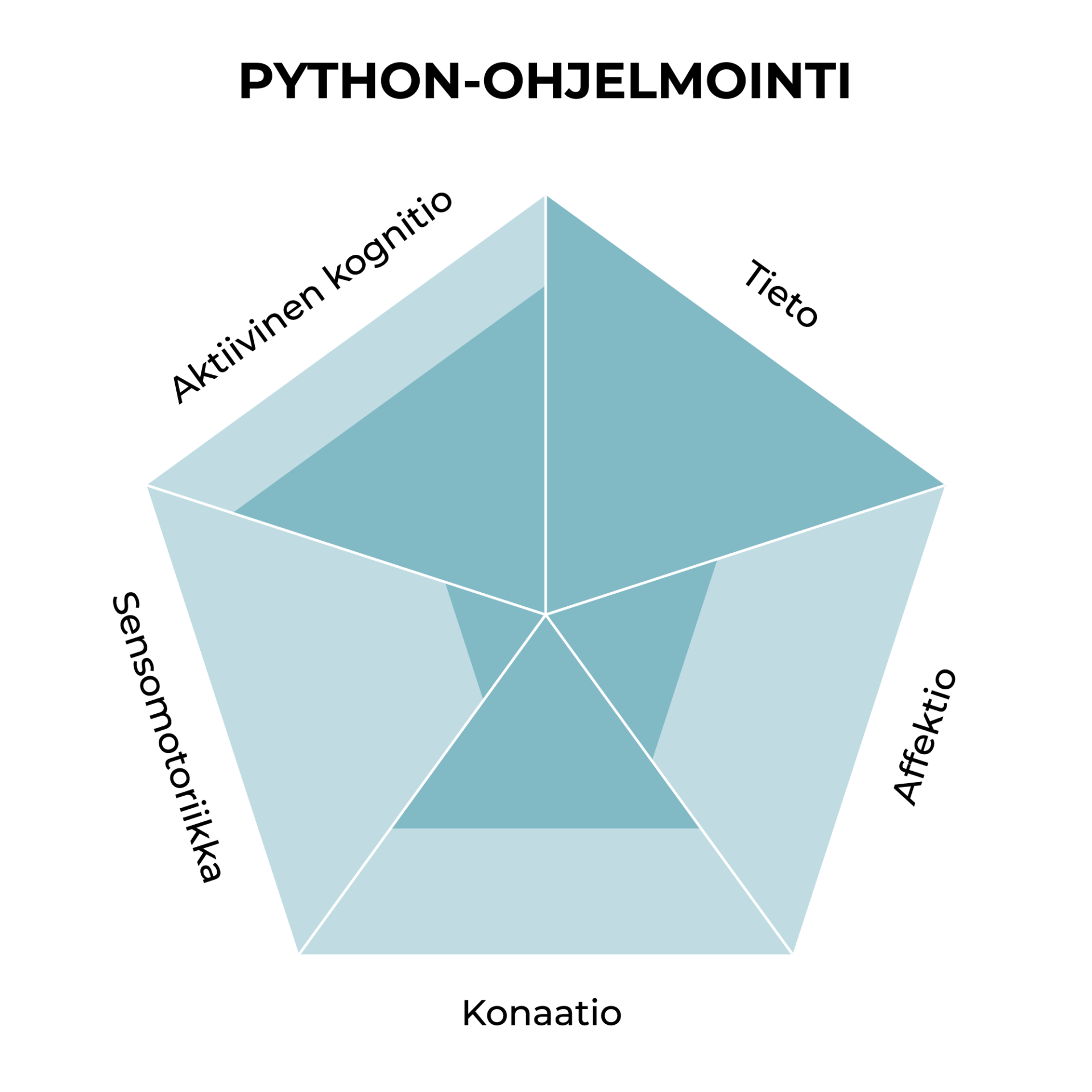 Kuvio, jossa python-ohjelmointitaidon viisi komponenttia on esitetty niiden painoarvojen mukaan.